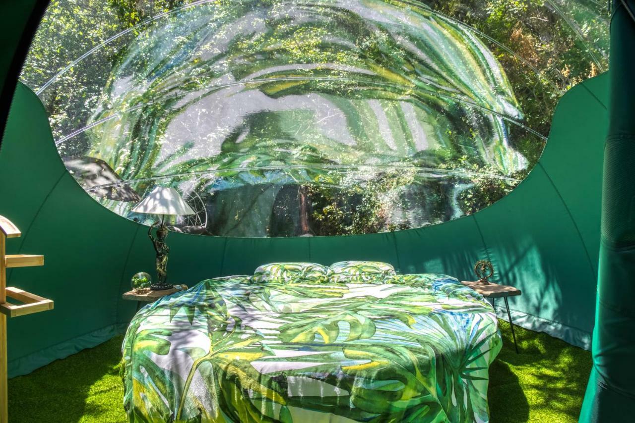 Domaine De L'insolite Guest house Meounes-les-Montrieux